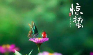 每年惊蛰的时间是固定的吗 惊蛰 每年这个时候