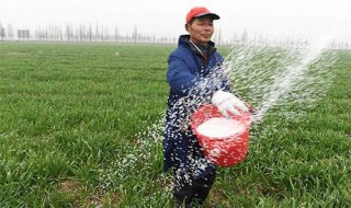 复合肥撒施技巧 复合肥能撒施吗