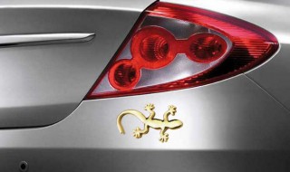 车上的壁虎代表什么（车上的壁虎代表什么寓意）