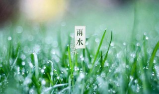 雨水经典祝福语（雨水经典祝福语图片）