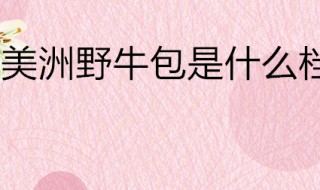 美洲野牛包是什么档次 美洲野牛包质量咋样