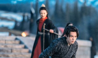 桑桑飞升是怎么回事（飞桑什么意思）