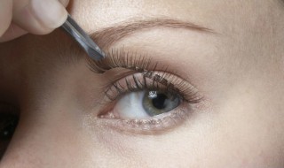 睫毛开花嫁接手法有哪些技巧（睫毛开花嫁接手法有哪些技巧图解）