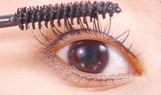 睫毛膏太稠太粘怎么办 睫毛膏太粘稠了怎么办