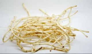 鱼腥草的作用与功效 中药鱼腥草的作用与功效