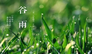 雨水和谷雨有什么不同（雨水和谷雨有什么不同之处）