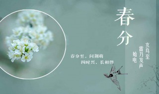 关于春分的诗句（关于春分的诗句 古诗）