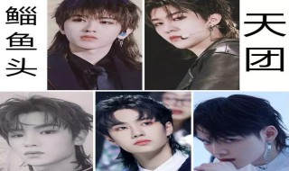 什么鱼头发型 那个什么鱼头发型