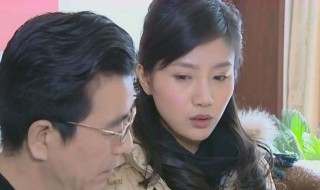 吴伟和沈茵是什么电视剧里的人物 吴伟和沈茵是什么电视剧里的人物关系