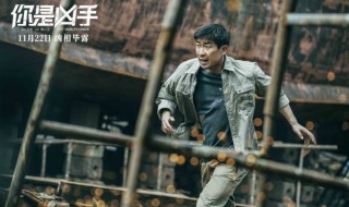 你是凶手里的凶手是谁（你是凶手里的凶手是谁扮演的）