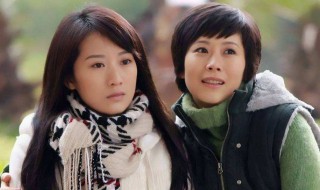 蜗居电视剧讲的是什么 蜗居电视剧百度百科