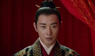 鹤唳华亭中陆文昔嫁给谁了（鹤唳华亭中陆文昔嫁给齐王了吗）