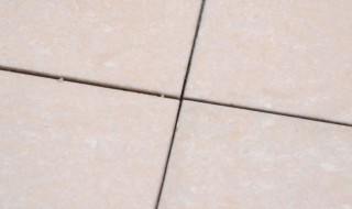 瓷砖缝隙长白毛咋办? 瓷砖缝里长白毛怎么办