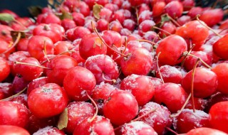 冬天的水果有哪些成熟 冬天的水果有哪些成熟了