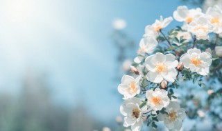 朋友圈2021立春唯美句子（2021立秋发朋友圈的句子）