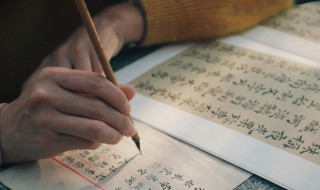 温暖的句子经典语句(温暖的句子大全)