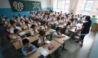 小学生欢度春节的作文（小学生作文欢乐的春节）