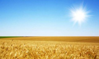 美好一天的心情句子（美好的一天的句子）