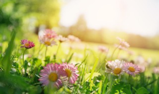 迎接2月的心情说说（迎接2月的心情说说短句）