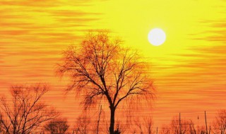 关于冬日暖阳的简短说说 关于冬日暖阳的简短说说短句