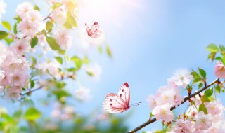 立春到来的美好祝福 立春到来的美好祝福语