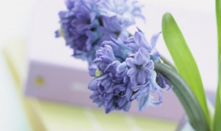 早安唯美暖心短句（早安唯美暖心短句图片）