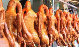 鹅怎么做腌制 鹅怎么做腌制方法