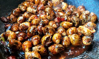 辣子花螺怎么做（辣花螺的做法大全窍门）