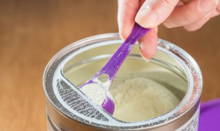 蛋白质粉有什么用