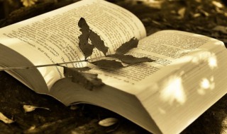 适合和朋友道别晚安的唯美句子 适合和朋友道别晚安的唯美句子短句