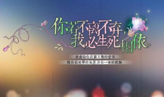 有关情感的伤感句子（有关情感的伤感句子简短）