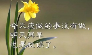 小清新早安心情句子 小清新早安短句