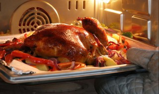 烤全鸡烤箱版的做法(电烤箱烤全鸡的做法大全)