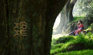 玲珑定档时间 玲珑电视剧定档了吗