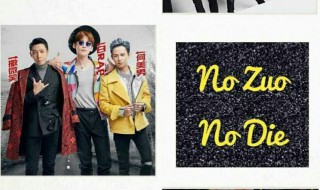 nznd什么意思（NZND啥意思）