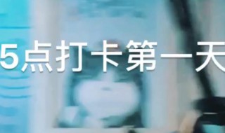 微博怎么设定寒假打卡目标(微博打卡怎么打卡)