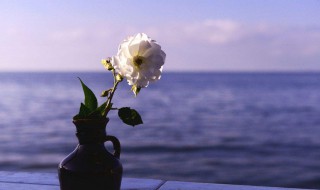 微信新功能我的状态文案 微信新功能我的状态文案怎么写