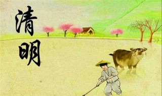 清明前后下一句谚语是什么 清明前后的谚语下一句
