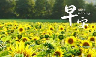 早安祝福语经典句子（早安祝福语经典句子大全）