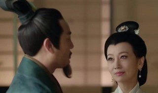 上阳赋王蔺爱长公主吗（上阳赋王蔺最爱长公主）