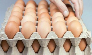 鸡蛋保存小技巧(鸡蛋保存小技巧图解)