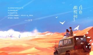 白色橄榄树这部小说主要讲了什么 白色橄榄树小说百度百科