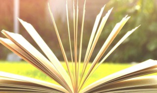 简约文艺女名字 简约文艺女名字两个字