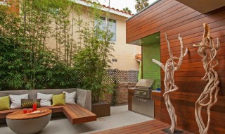 庭院种竹子的风水讲究 庭院种竹子的风水讲究图片