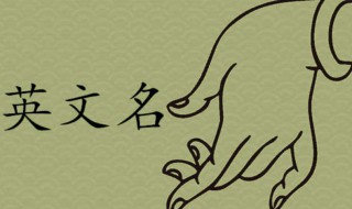 可爱英文名字呆萌版（可爱英文名字呆萌版女）