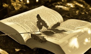 发狗狗的幽默说说短句（发狗狗的幽默说说短句子）