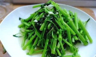 空心菜怎么做好吃又健康（空心菜怎么做好吃又健康视频）