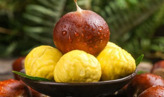 板栗的保存技巧（板栗的保存技巧和方法）