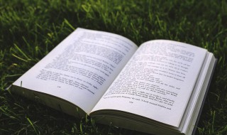 夸男人优秀的句子带点幽默 夸一个男人优秀的句子搞笑