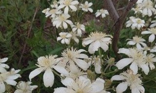 p图吃画质怎么办 怎样p图不影响画质